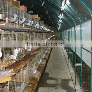 Low Cost Plastic Tunnel Greenhouse for Used Poultry Farm thumbnail-3