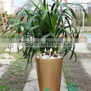 Garden Decoration Self Watering Plastic Plant Pots Wholesale thumbnail-1