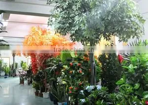 Dongguan Hengxiang Artificial Plants Co., Ltd. company overview - view 1 thumbnail