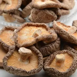Mushrooms Drying Machine thumbnail-5