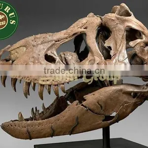 Lisaurus-LA Artificial Dinosaur Skull for Theme Park thumbnail-1