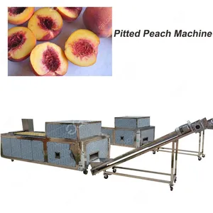 Date Pitting Process Equipment/Dates Pitting Machine Supplier thumbnail-2