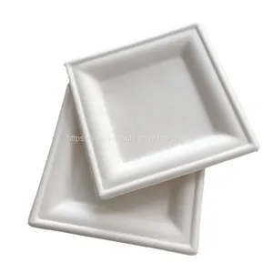 Disposable Square 6x6 Inch Sugarcane Pulp Plates Biodegradable Bagasse Plates White thumbnail-1