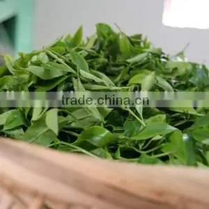 High Efficient Automatic Green Leaves Microwave Dryer thumbnail-2