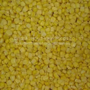 Frozen Sweet Corn thumbnail-1