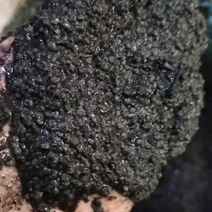 Anaerobic Granular Sludge thumbnail-1