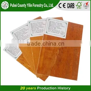 Shuttering Plywood/Waterproof Plywood/Construction Plywood thumbnail-4