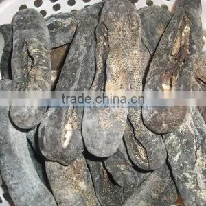 Tiger Sea Cucumber Vietnam, Black Zsand Fish, Holothuria Spp thumbnail-2