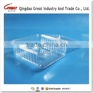 Plastic Blueberry Packaging Container 125 Gram thumbnail-3