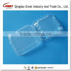High Quality Plastic Fruit Packaging Box Berries Container thumbnail-3