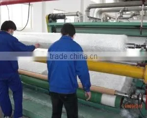 Jiujiang Xingli Beihai Composite Co., Ltd. company overview - view 1 thumbnail