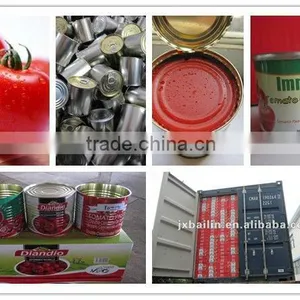425g Heavy Tomato Puree With Birx 28%~30% thumbnail-1