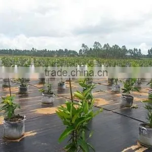 Anti-weed Fabric, Textile,geotextile thumbnail-1