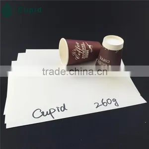 Paper Cup Wall Paper/paper Cup Fan/pe Coated Bottom Paper thumbnail-6