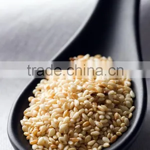 Sesame Seed Black P.e.| High Quality Black Sesame Seeds Powder Sesamin thumbnail-4