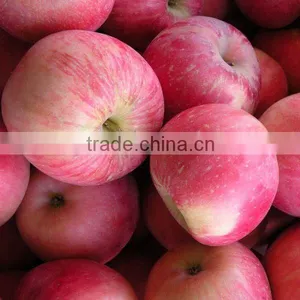 Fuji Apple thumbnail-1