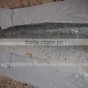 FROZEN ATLANTIC SALMON SKINS thumbnail-4
