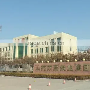 Shandong Wanhao Paper Group Co., Ltd. company overview - view 1 thumbnail