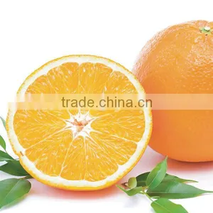 We Are Supply Fresh Navel Orange With Good Quality for Sale thumbnail-1