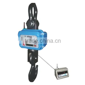 Hanging Lifting Scale thumbnail-1