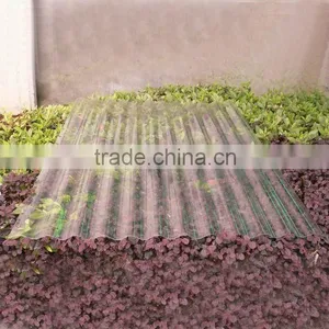 UV Coated Solid Polycarbonate Sun Panel for Greenhouse thumbnail-1