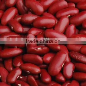 British Type Red Kidney Beans thumbnail-2