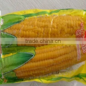 Vacuum Bag Sweet Corn thumbnail-1