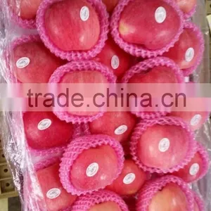 Hot Sale Chinese Fuji Apple thumbnail-5
