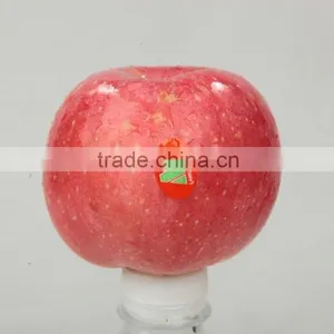 Fresh Fuji Apple thumbnail-1