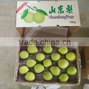 Shandong Pear thumbnail-4