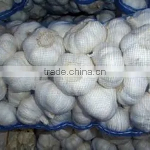 Pack in Mesh Bag or Carton Garlic thumbnail-6