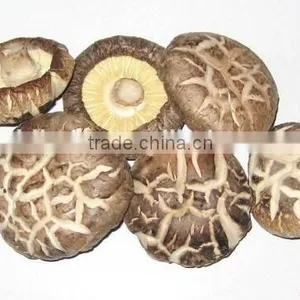Wholesale Edible Organic Dried Shiitake Mushroom thumbnail-1