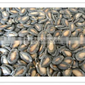 Black Watermelon Seeds New Crop thumbnail-1
