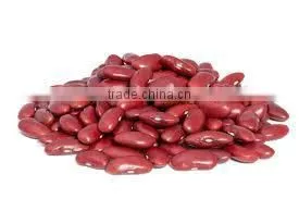 Red Kidney Beans thumbnail-1