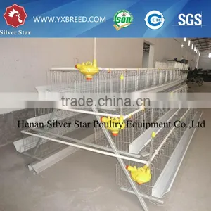 Chicken Breeding Cage for Poultry Farm thumbnail-5