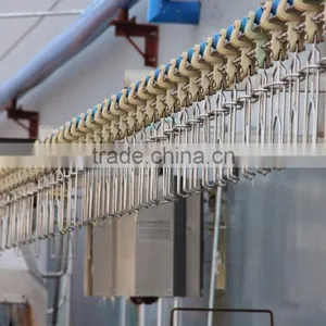 Broiler Chicken Slaughter/Chicken Processing Equipment for Slaughter 008618052092685 thumbnail-3