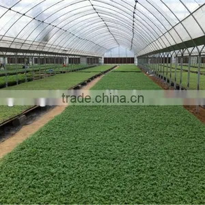 High Quality Greenhouse Cooling Pad With High Absorbability thumbnail-4