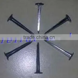 2017 Shoe Tack Agent for Nigeria Market thumbnail-2