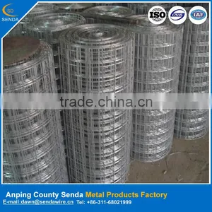 High Quality Iron Rod Made Galvanized Welded Wire Mesh thumbnail-1