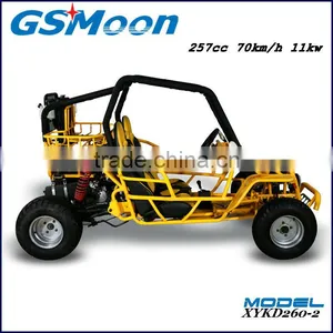 250cc Water Cooling EEC/EPA Sand Beach Buggy thumbnail-2