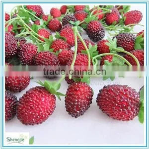 Artificial Decoration Fruit thumbnail-1