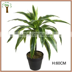 New Plasticated Dracaena Plant Bush in 60cm Tall thumbnail-1