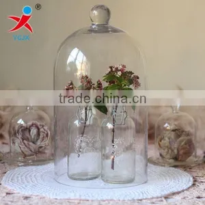 Hand Made Borosilicate Glass Dome Covers for Flower Decorations thumbnail-1