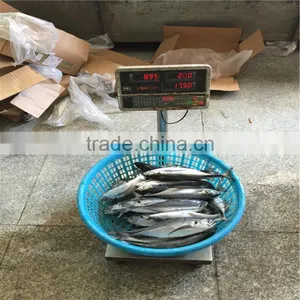 Frozen Horse Mackerel Fish Whole Horse Mackerel Hardtail Scad thumbnail-1