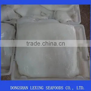 Giant Squid Fillet thumbnail-1