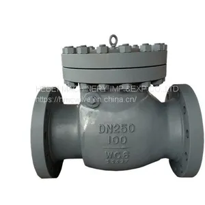 DIN/API Cast Steel Check Valve thumbnail-1