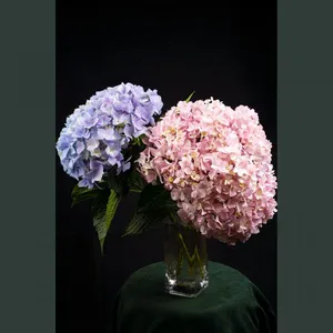 Big Hydrangea Flowers Home Water - Fed Gift Flower Arrangement More Green thumbnail-1