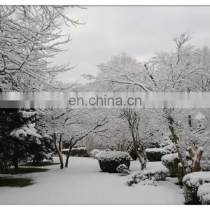 Cable With Male And Female Connectors For Snow Melting Heating Mat thumbnail-5