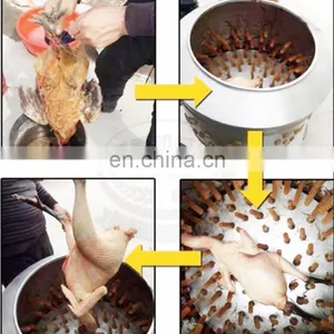 TM-65 High Plucking Rate 3500w 65cm Diameter Desplumadora de Pollos Chicken Cleaning Machine Chicken Cleaning Machine thumbnail-3