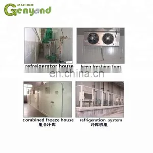 Cold Storage Warehouse Construction at Competitive Price thumbnail-4